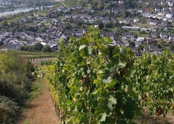 Fewo Freis In Brauneberg