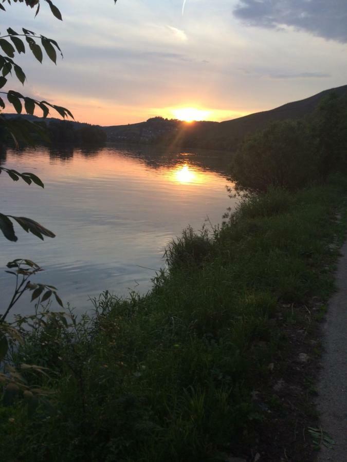 Apartament Freis In Brauneberg