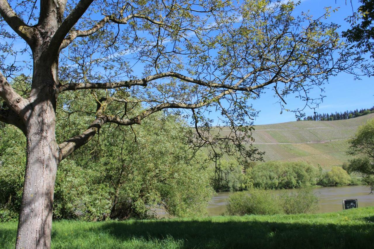 Apartament Freis In Brauneberg